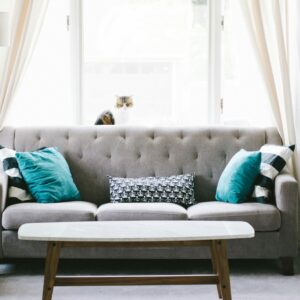 Illustrative preview for The cozy home edit